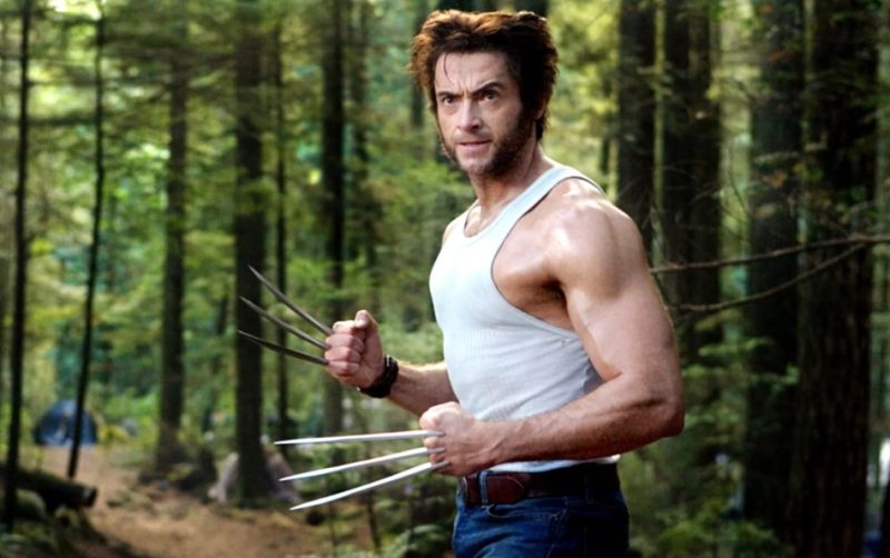wolverine